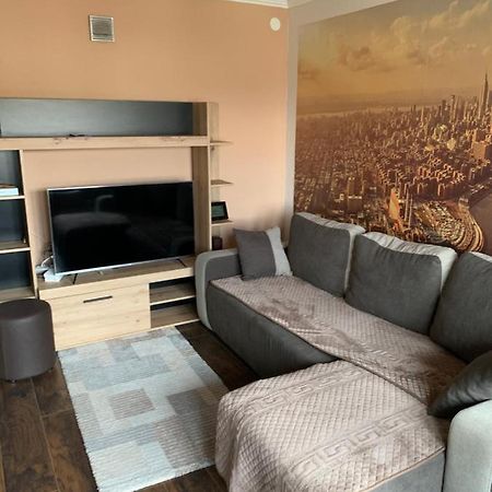 Apartament Aleksinac Centar Zewnętrze zdjęcie