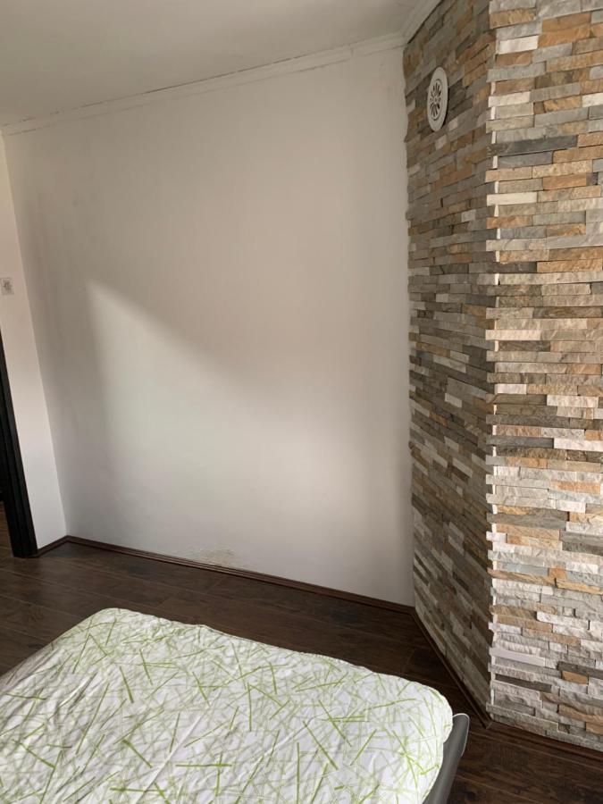 Apartament Aleksinac Centar Zewnętrze zdjęcie