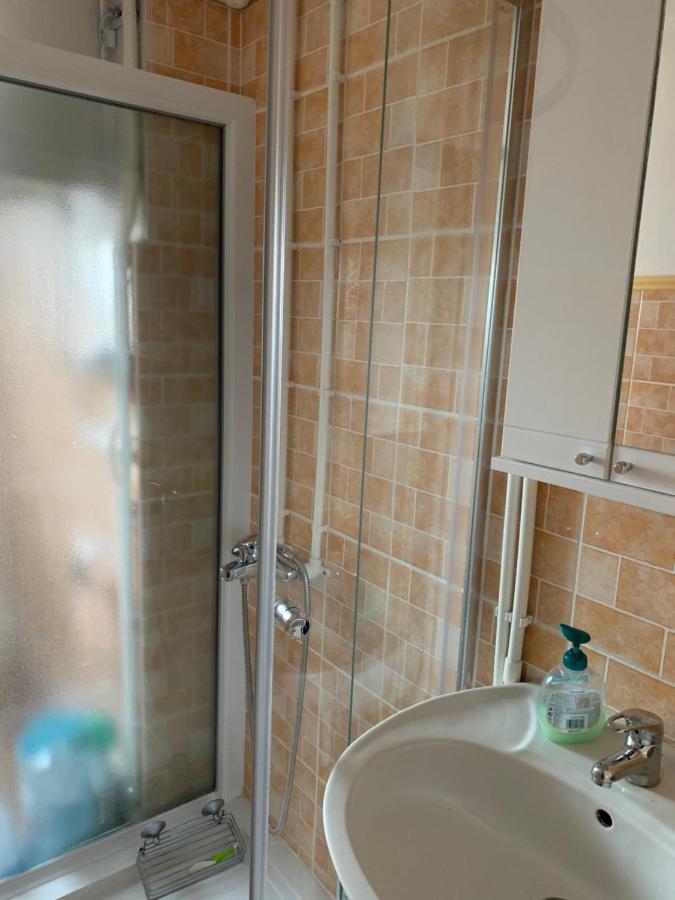 Apartament Aleksinac Centar Zewnętrze zdjęcie