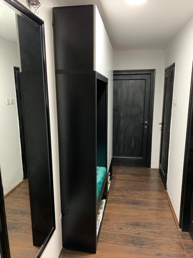 Apartament Aleksinac Centar Zewnętrze zdjęcie